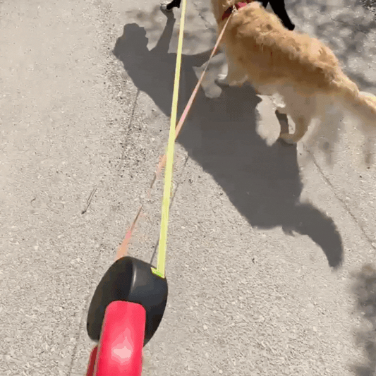 Duo Anti-Tangle Pets Leash
