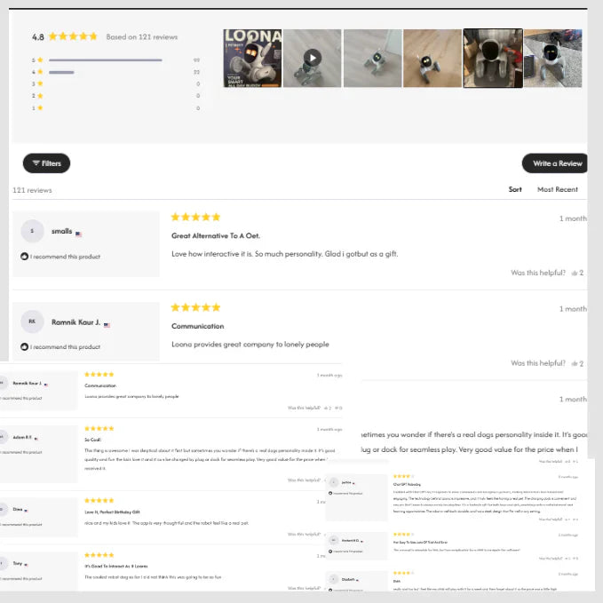 Loona petbot Lite