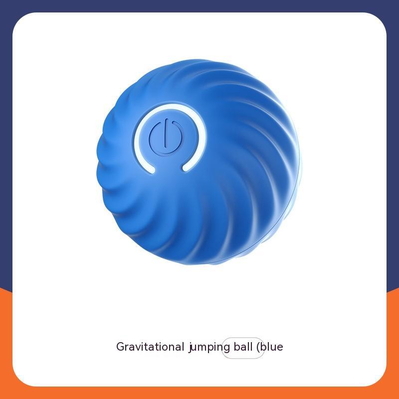 Interactive Dogs Ball Toy (Copy)