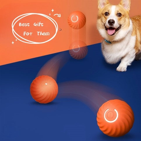 Interactive Dogs Ball Toy (Copy)