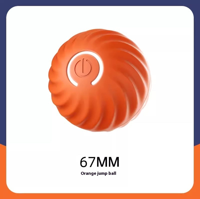 Interactive Dogs Ball Toy (Copy)