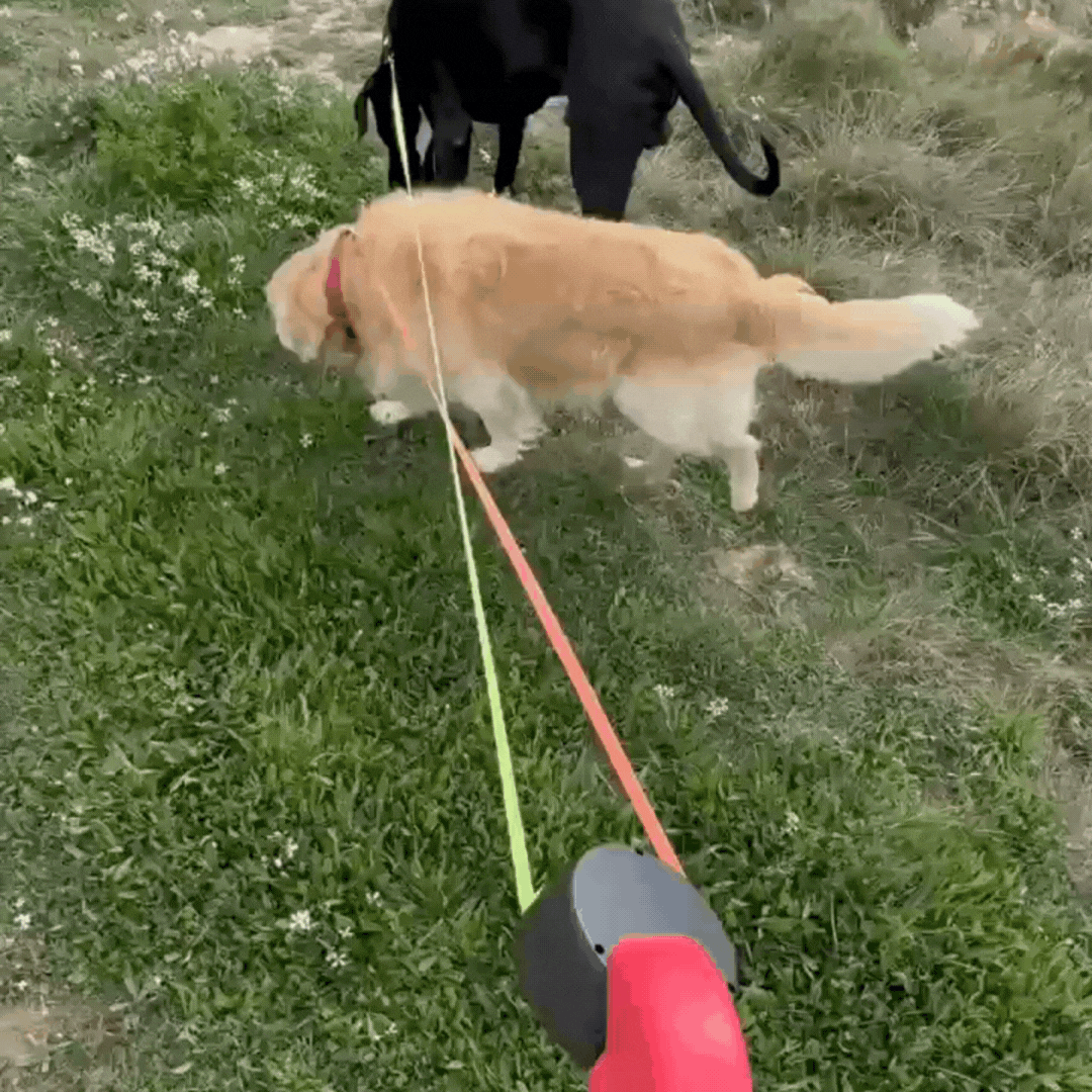 Duo Anti-Tangle Pets Leash