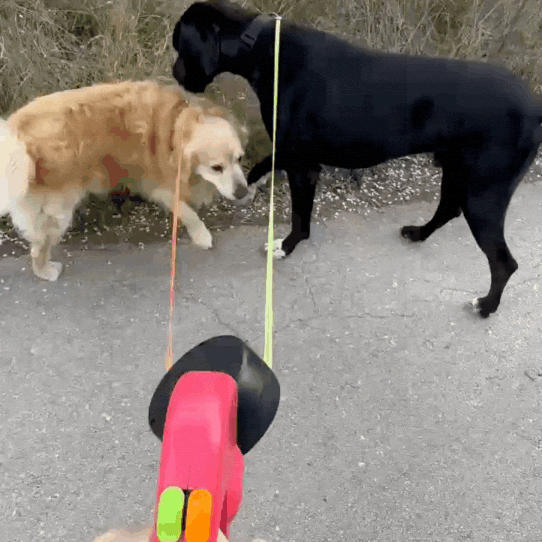Duo Anti-Tangle Pets Leash