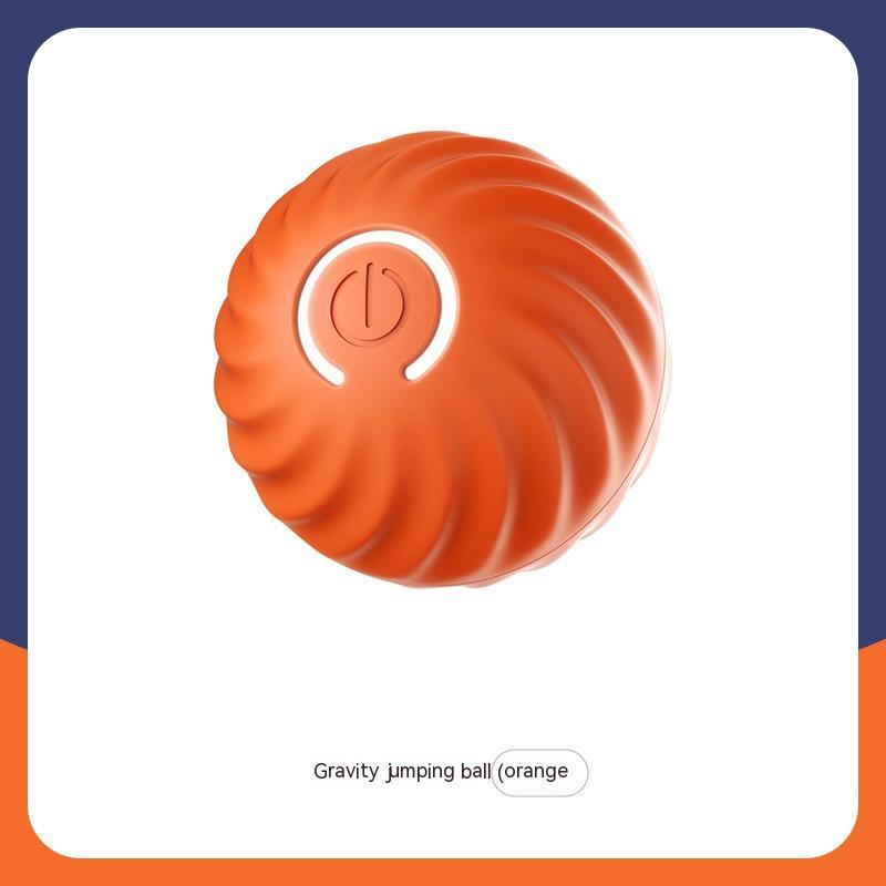 Interactive Dogs Ball Toy (Copy)
