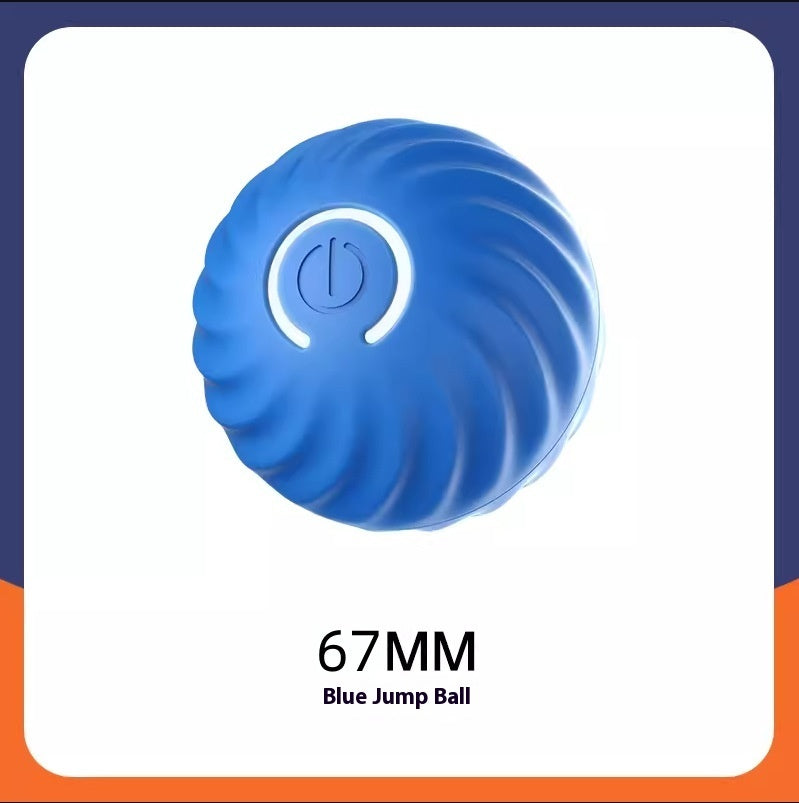 Interactive Dogs Ball Toy (Copy)